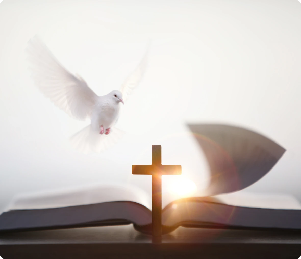 Spiritual scene with dove, Bible, and cross