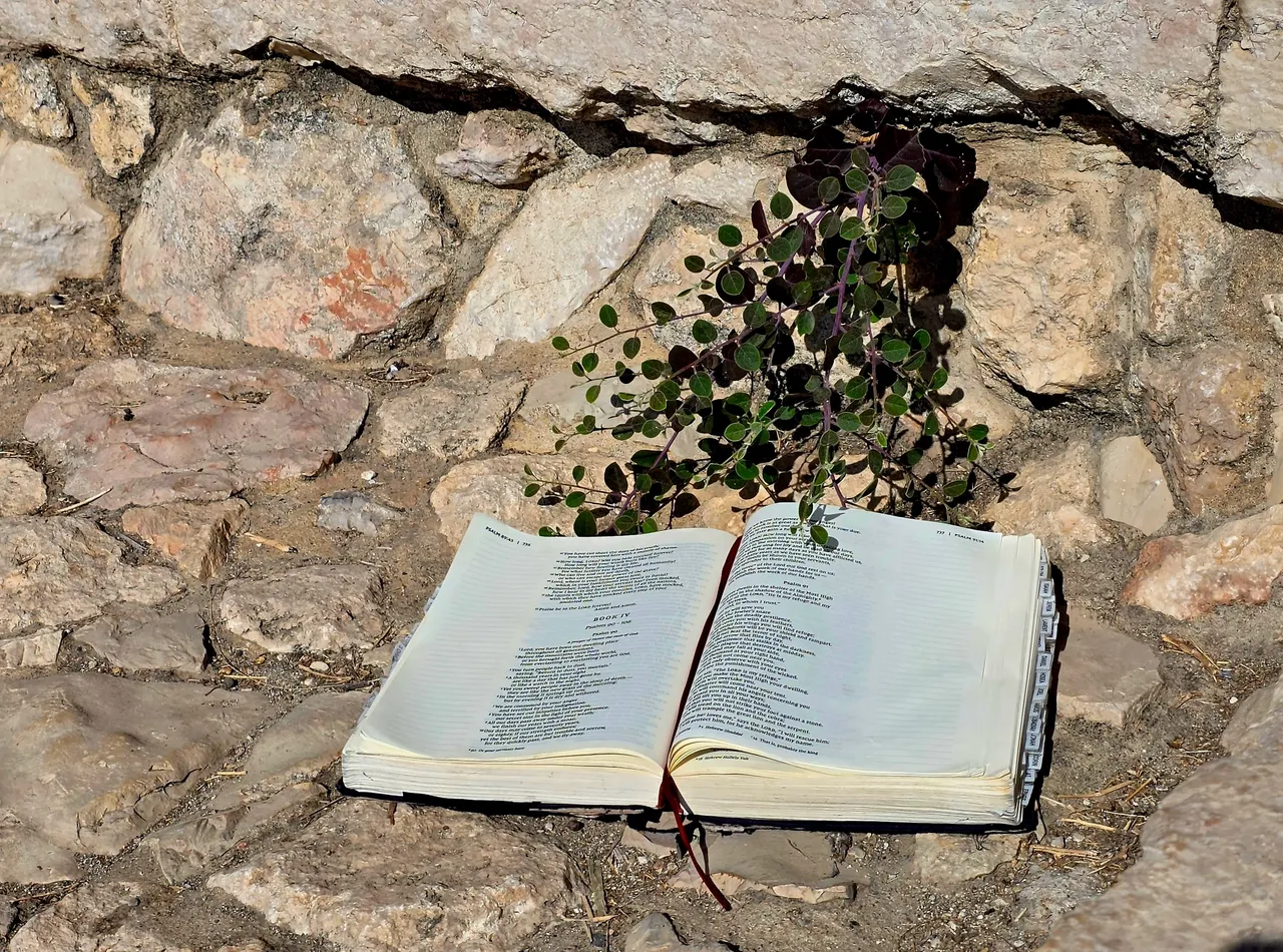 Open book on stone ground