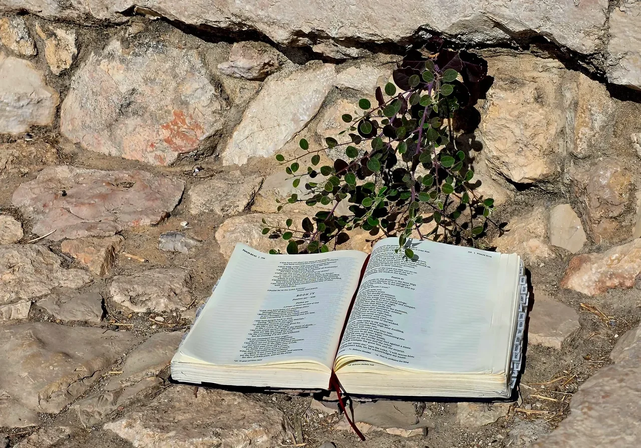 Open book on stone ground